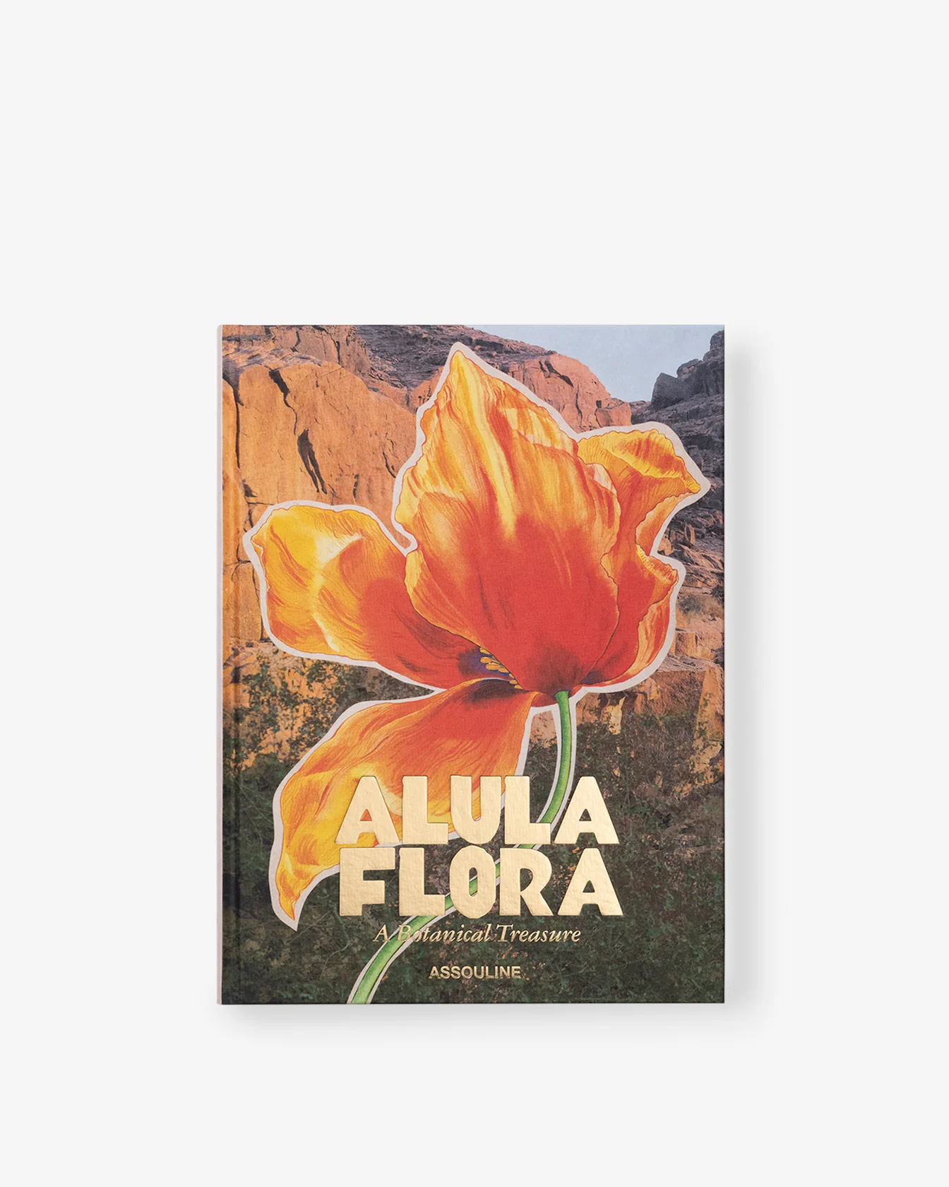 AlUla Flora - Image 3