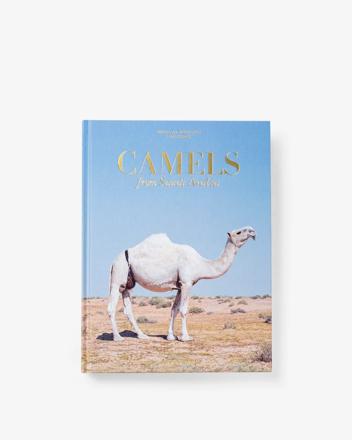 Camels from Saudi Arabia (Classic) - Image 3