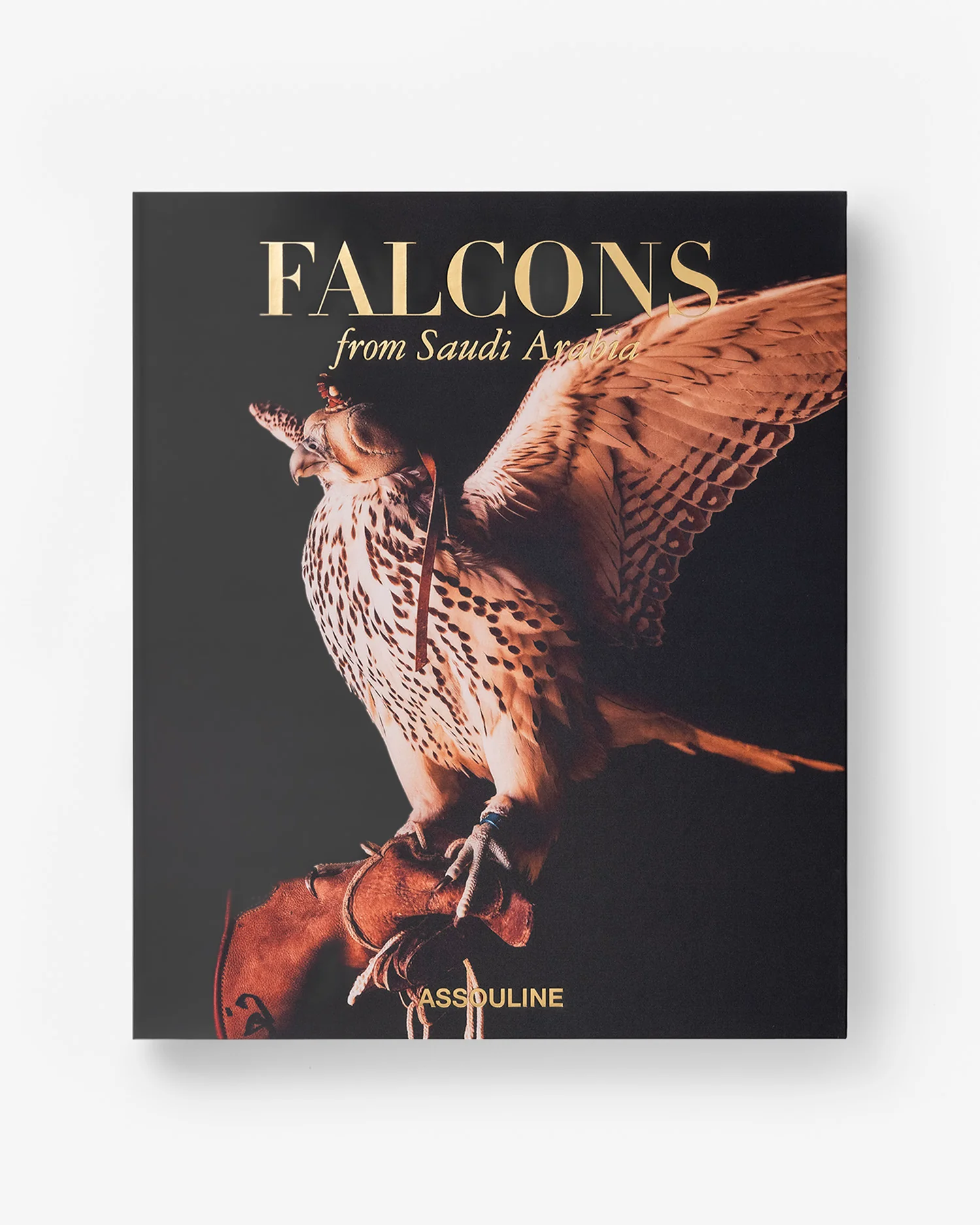Falcons from Saudi Arabia - Image 3