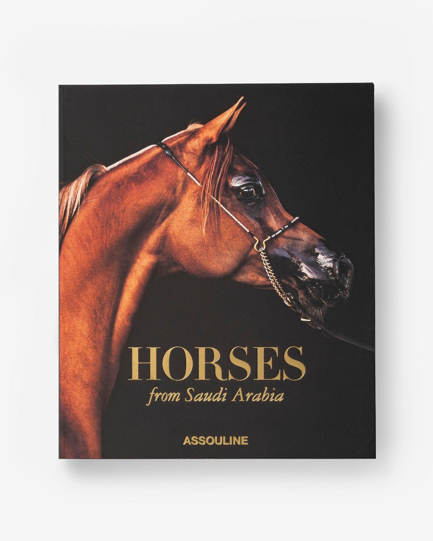 Horses from Saudi Arabia - Image 3