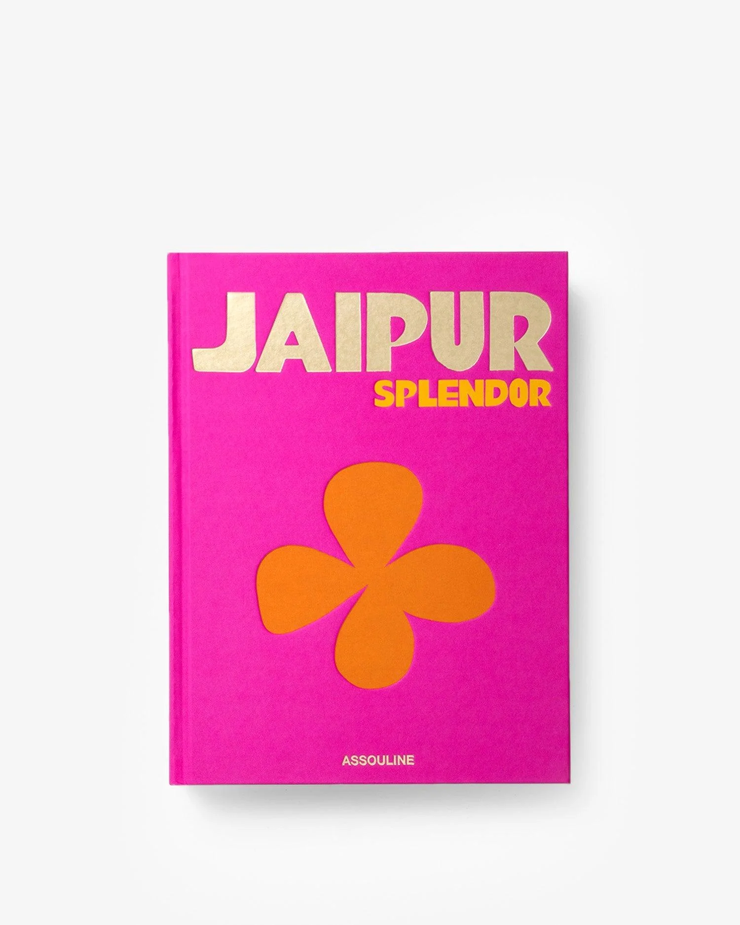 Jaipur Splendor - Image 3