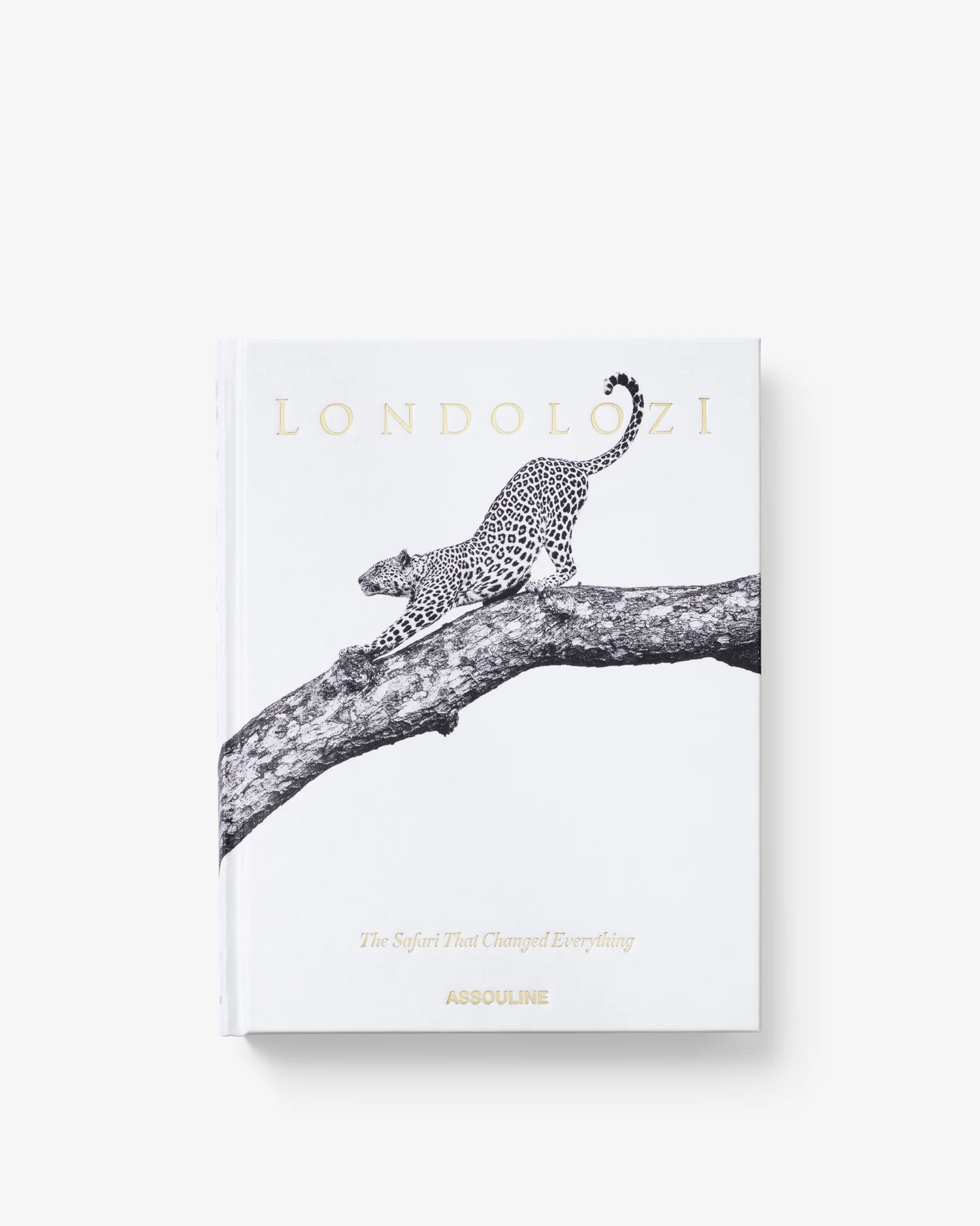 Londolozi: The Safari that Changed Everything - Image 3